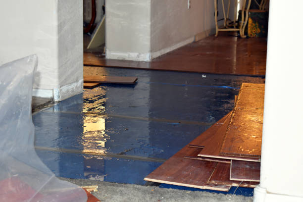 Professional Basement Flood Cleanup technician working in Coopersville, MI