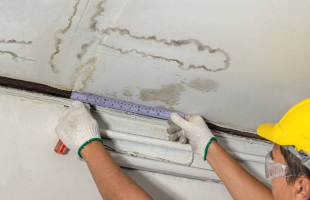 Reliable Basement Flood Cleanup contractor in Coopersville, MI by Aqua Guard Water Damage